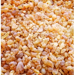 Frankincenso eterinis aliejus